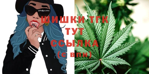 тгк Армянск
