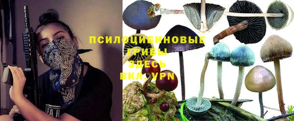 ГАЛЛЮЦИНОГЕННЫЕ ГРИБЫ Арсеньев